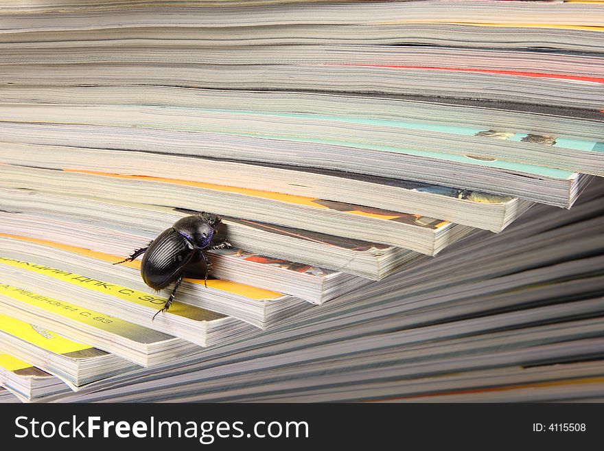 Beetle climbing on pile of magazins. Beetle climbing on pile of magazins