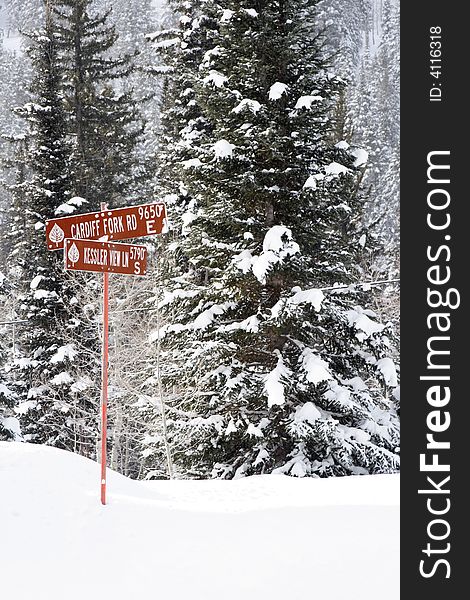 A snow covered mountain road sign