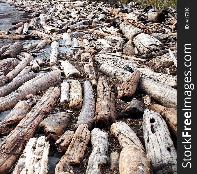 Endless amounts of logs gathered on a Canadian Beach. Endless amounts of logs gathered on a Canadian Beach.