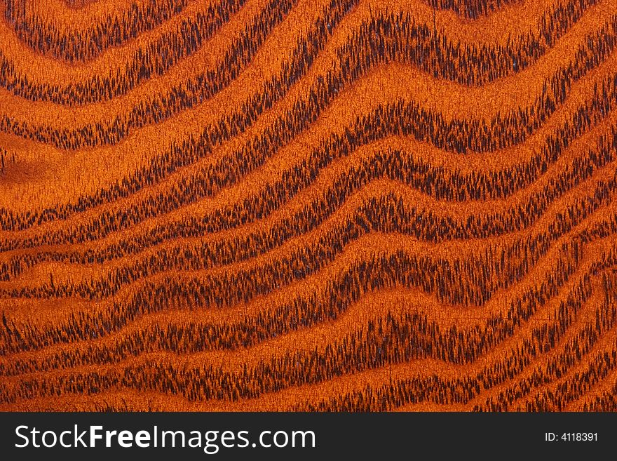 Close-up of a brown wood texture