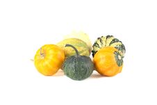 Mini Pumpkins Stock Image