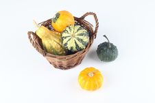 Mini Pumpkins In A Basket Royalty Free Stock Photo