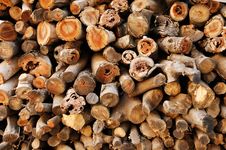 Stacked Logs Royalty Free Stock Image Stacked Logs Royalty Free Stock Image