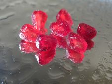 Reflection Of Grains Of A Pomegranate In A Mirror- Royalty Free Stock Image Reflection Of Grains Of A Pomegranate In A Mirror- Royalty Free Stock Image
