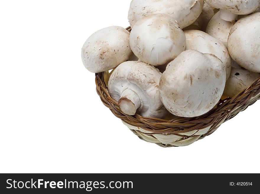 Field Agaric In The Basket On White