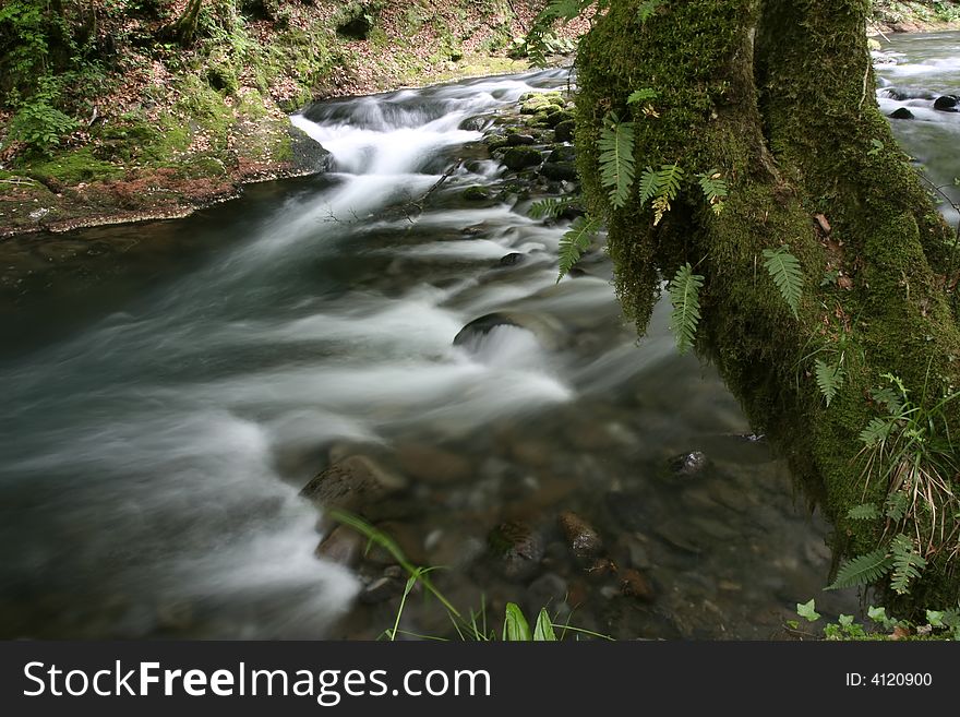 Nature landscape, streaming spring creek