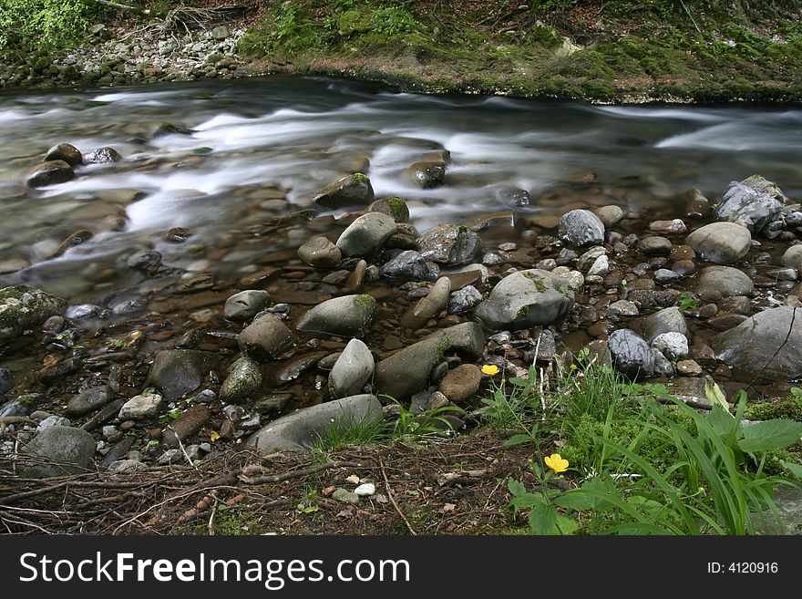Nature landscape, streaming spring creek