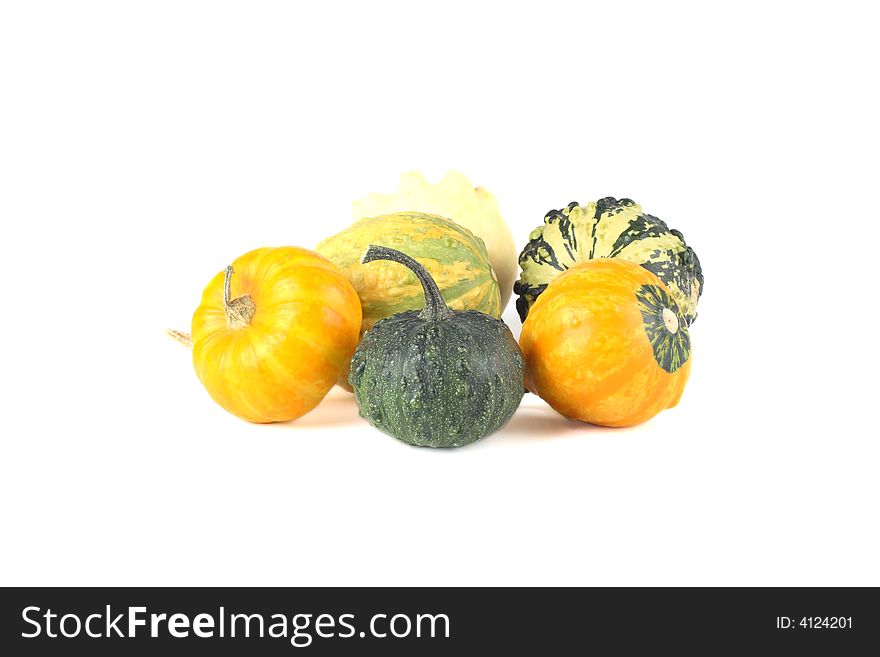 Mini pumpkins on a white