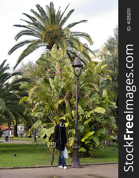 A young man walking in a park, visiting.
In the background there are coconut trees and a banana tree. A young man walking in a park, visiting.
In the background there are coconut trees and a banana tree