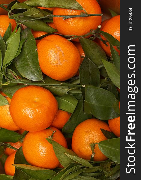 A bunch of orange fruits with green leaves