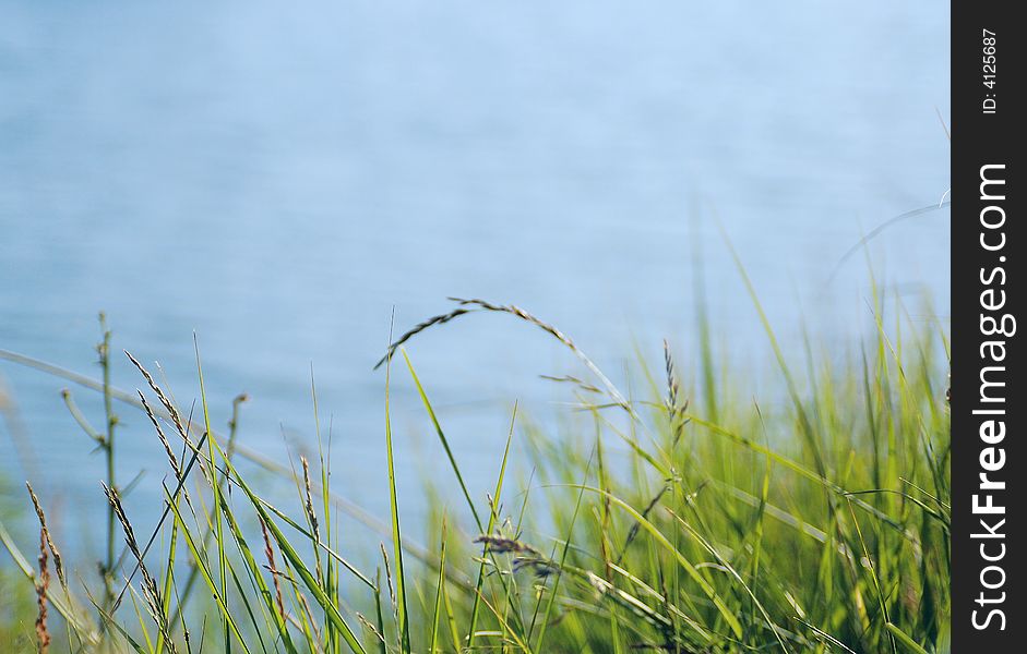 Green Grass and Blue Water, background