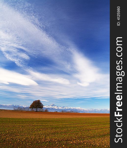 An isolated tree in a meadow with a dramatic blue sky and mountains in the background. An isolated tree in a meadow with a dramatic blue sky and mountains in the background