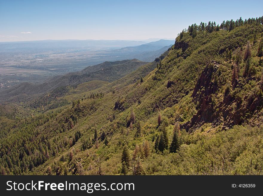 Taken at 7,500 feet atop a mountain on a beautiful summer day. Taken at 7,500 feet atop a mountain on a beautiful summer day.