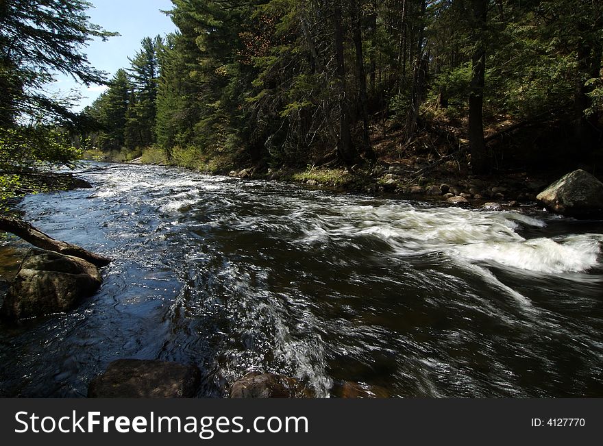 A stream flowing over rock in forest. A stream flowing over rock in forest