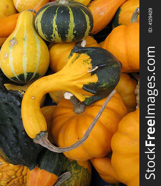 Pile of colorful autumn pumpkins