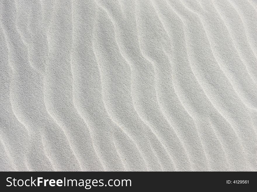 Landscape photo of a coastal dune texture. Landscape photo of a coastal dune texture