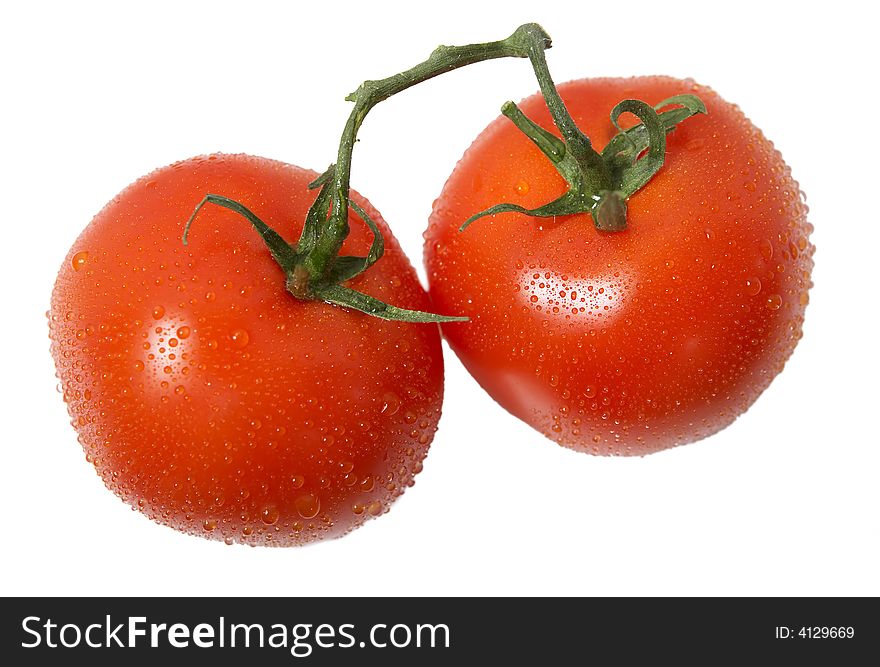 Red Tomatoes Isolated