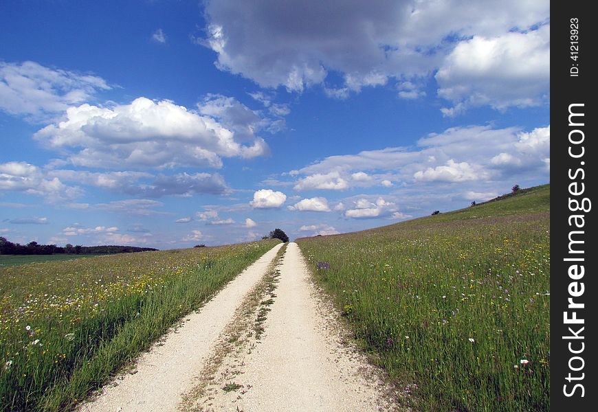 A road that seems going to heaven. Beside the road are flowers of all kind. A road that seems going to heaven. Beside the road are flowers of all kind.