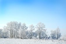 White Winter Stock Photography White Winter Stock Photography