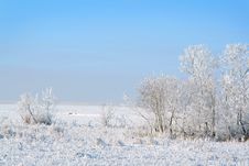White Winter Stock Photo White Winter Stock Photo