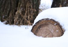 Log Stock Images Log Stock Images