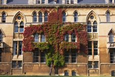 Christ Church Wall Royalty Free Stock Photo Christ Church Wall Royalty Free Stock Photo