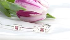 Violet Tulip And Silver Bracelet Stock Photography Violet Tulip And Silver Bracelet Stock Photography
