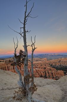 Dawn On Bryce Canyon Stock Photography Dawn On Bryce Canyon Stock Photography