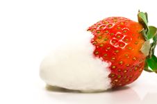 Strawberry And Cream Royalty Free Stock Photo Strawberry And Cream Royalty Free Stock Photo