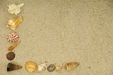 Shells In The Sand Royalty Free Stock Photos Shells In The Sand Royalty Free Stock Photos