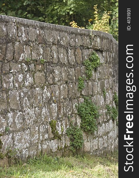 Brick wall with vegetation in Normandy France