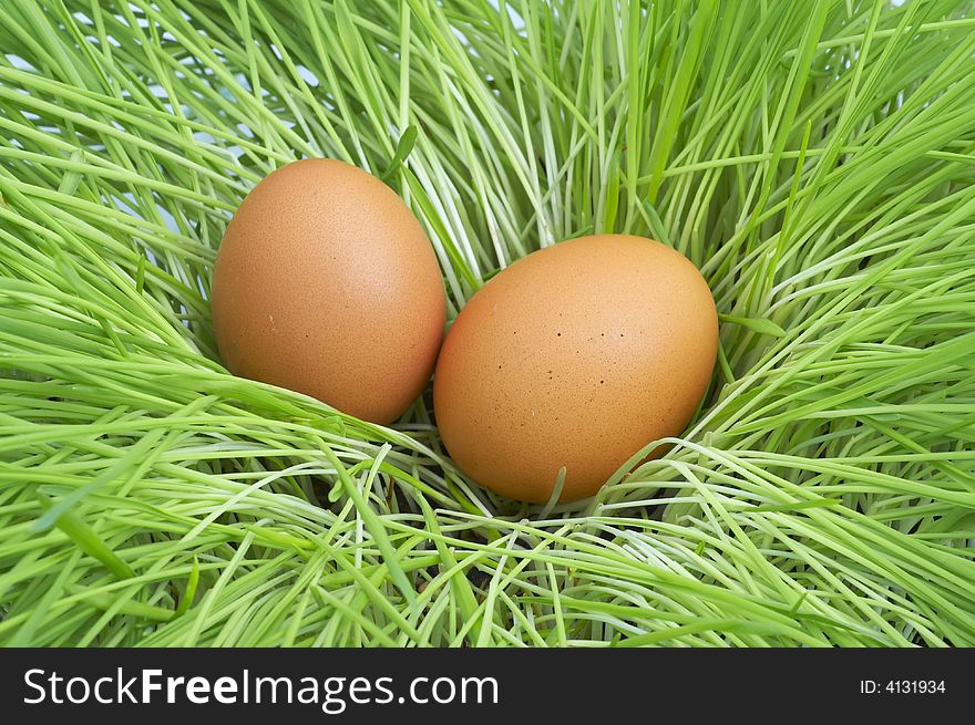 Easter Eggs In  Grass