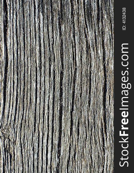 Close-up shot of an aged beam showing the fine structure of deteriorated timber. Close-up shot of an aged beam showing the fine structure of deteriorated timber