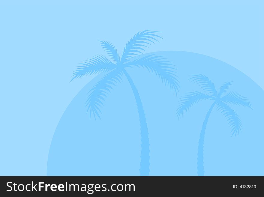 Vector illustration of palm trees. Vector illustration of palm trees