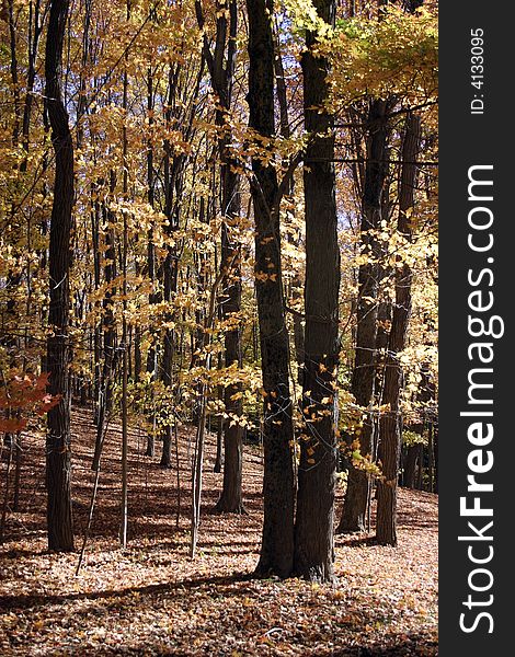 Entrance to an estate during the fall season. Entrance to an estate during the fall season