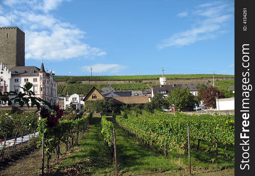 European Village with a vineyard in front and a blue sky background