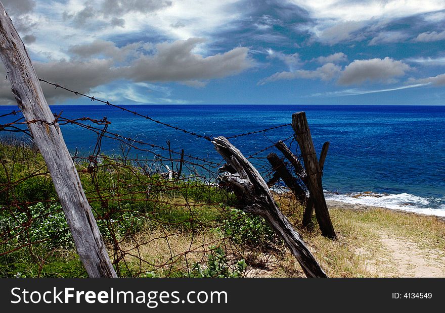 Beautiful scene with a barbwire fence in Hawaii. Beautiful scene with a barbwire fence in Hawaii.