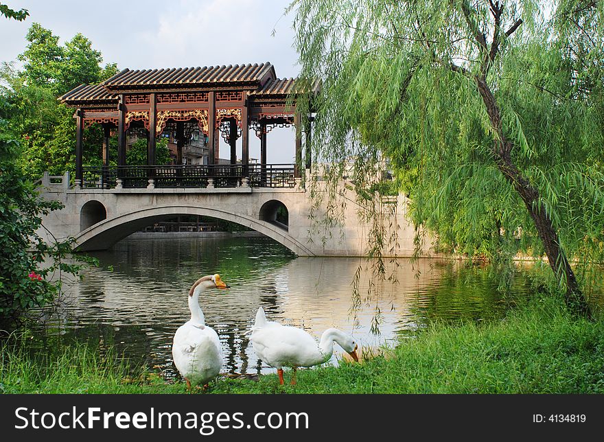 A Gallery Bridge In The Liangs  Garden