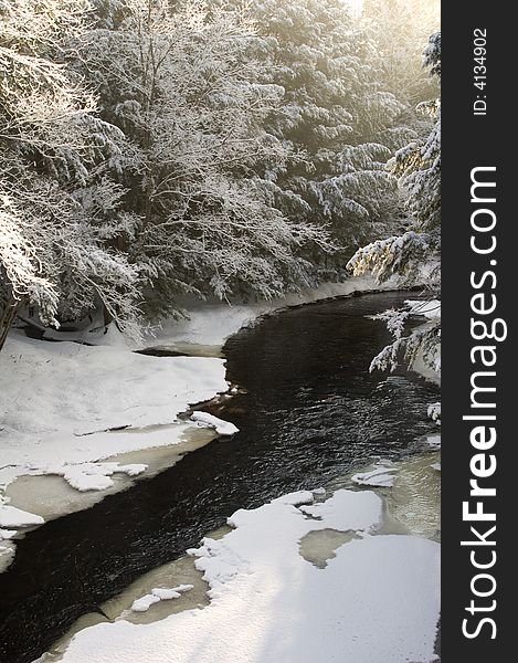 A snow covered creek meanders through a pine forest shortly after a snowfall, with morning light. A snow covered creek meanders through a pine forest shortly after a snowfall, with morning light.