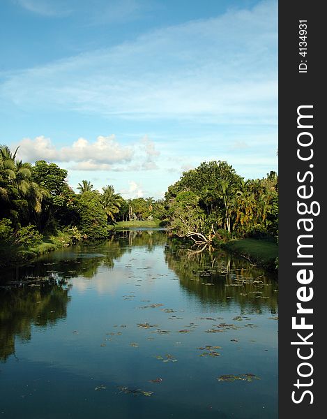 View of Scenic Residential Canal in South Miami. View of Scenic Residential Canal in South Miami
