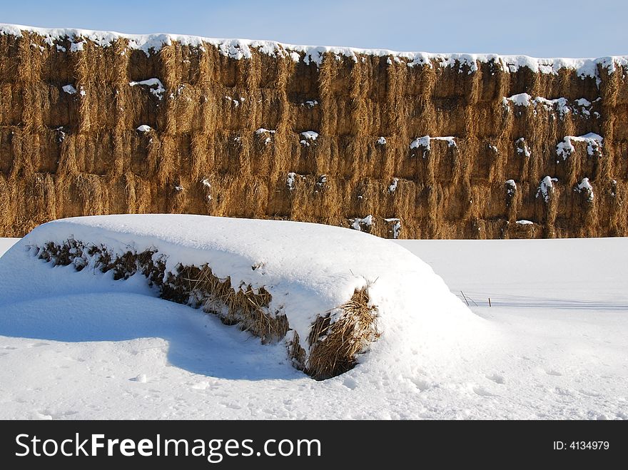 A lone hay bale lies in front of a wall of hay bales.  Left out from the group. A lone hay bale lies in front of a wall of hay bales.  Left out from the group.