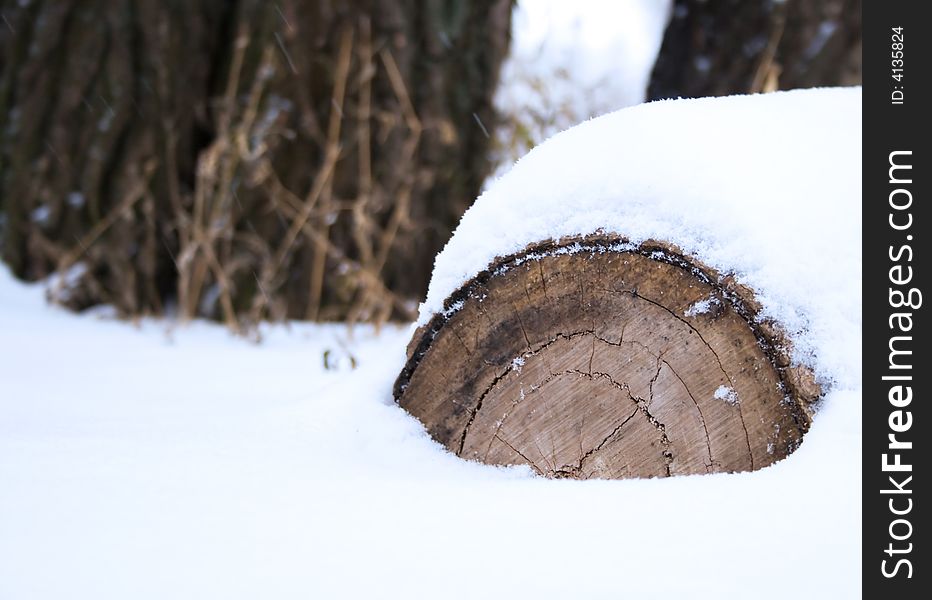 Log under snow in the winter forest