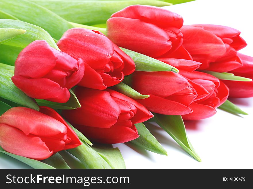 Bunch of red tulips- close up