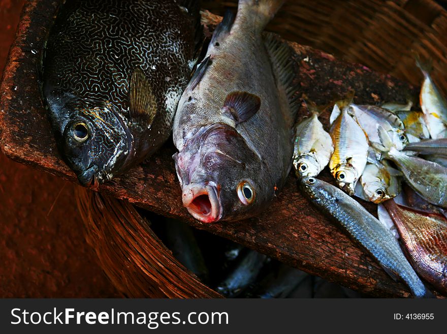 Fish close up shot in a market