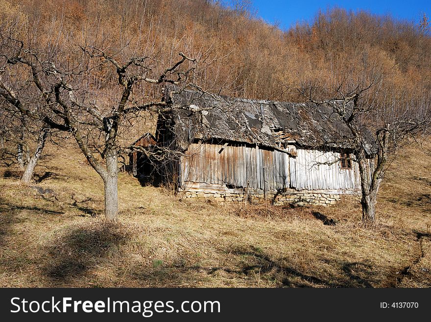 Is an old hovel on a hill between the tree