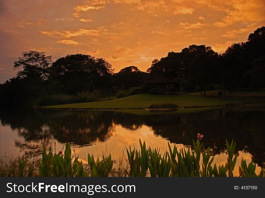 Lake, tree and sunrise in the parks