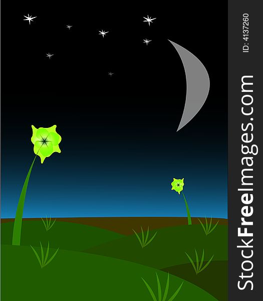Night landscape with flower and stars, vector illustration