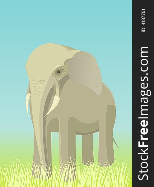 Illustration of an african elephant