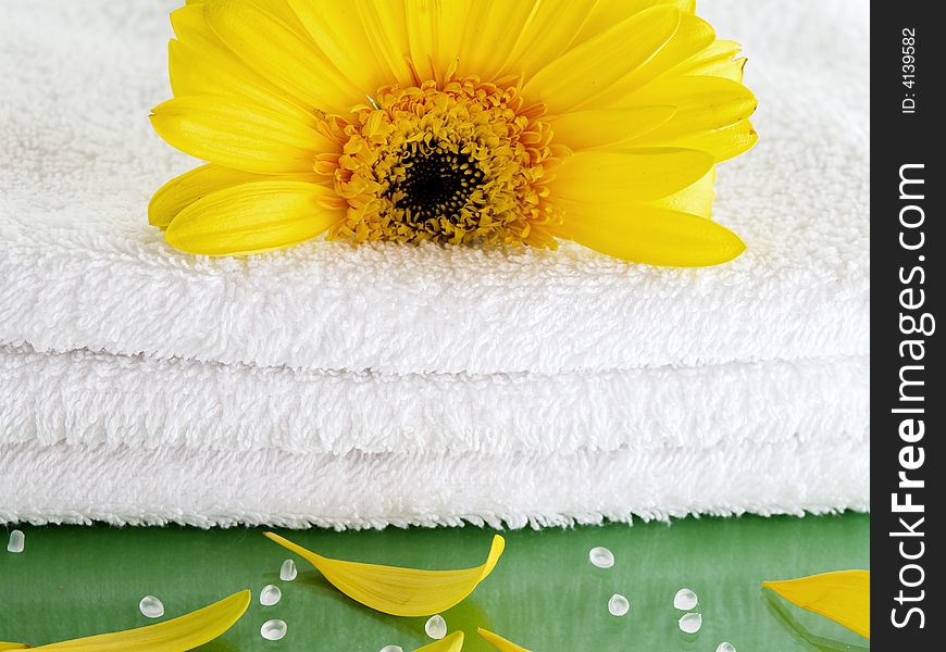 White towel close up with yellow flower and petals on green background. White towel close up with yellow flower and petals on green background