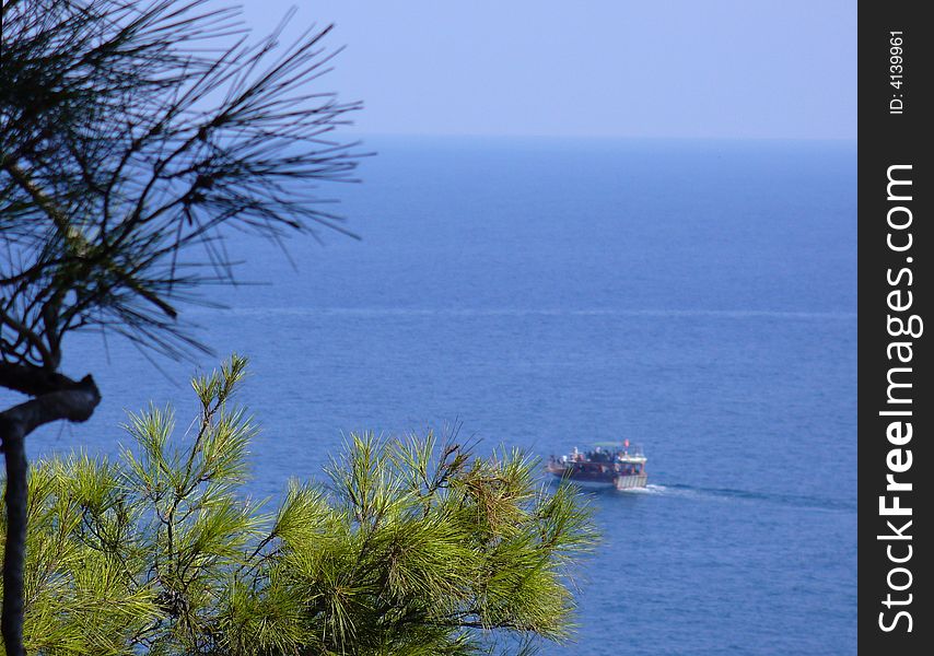 Boat in green pine on sea. Boat in green pine on sea